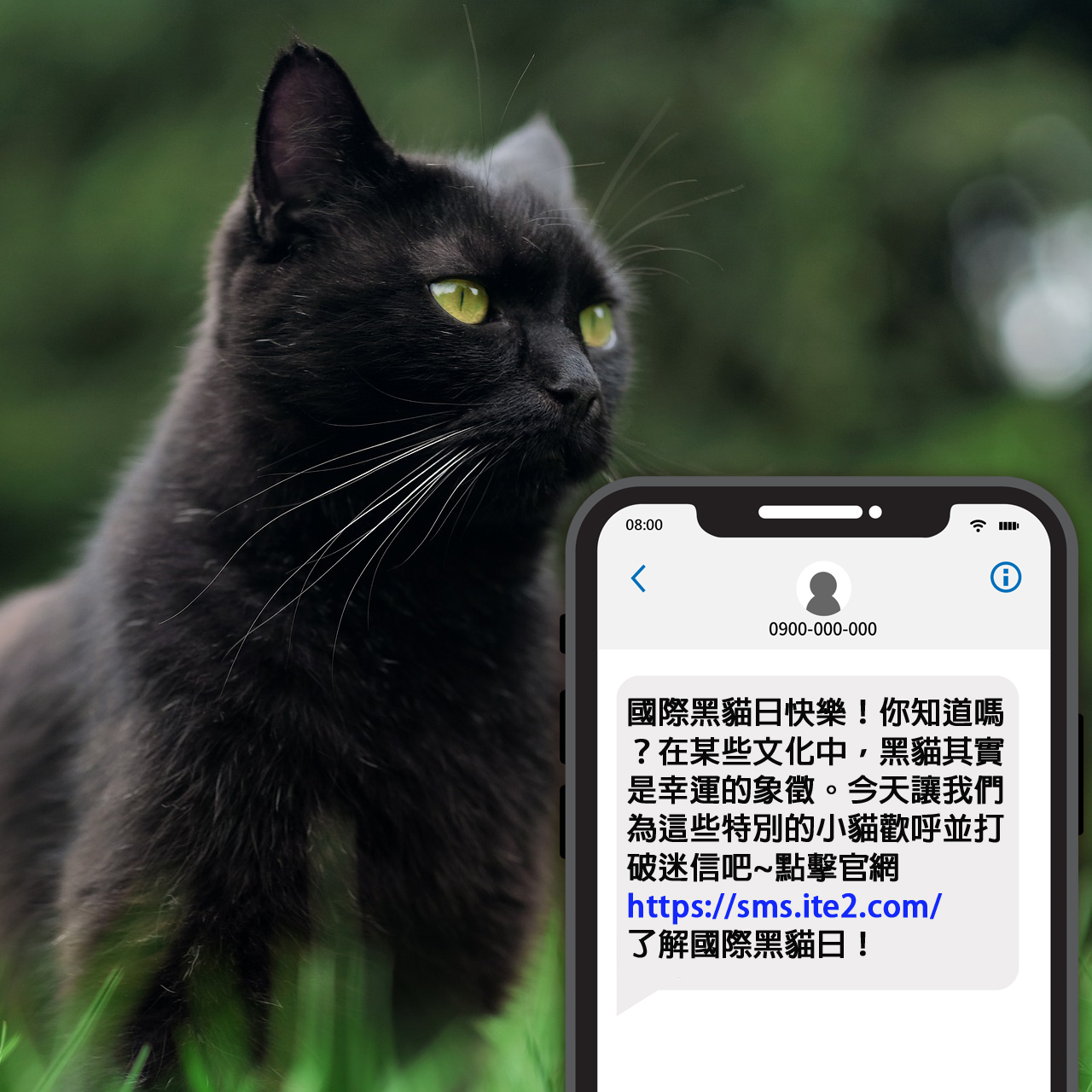 "國際黑貓日"-簡訊打破迷信，促進領養 之簡訊範例