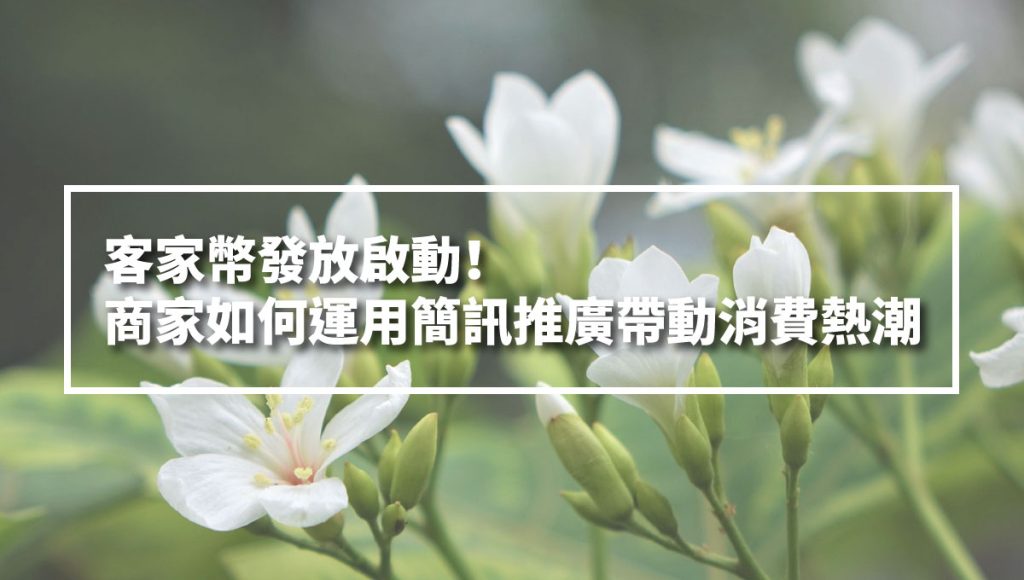 客家幣 啟用 - 封面圖