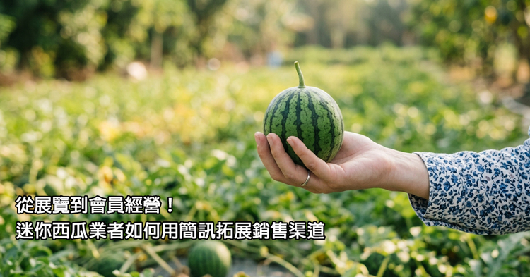 迷你西瓜 封面